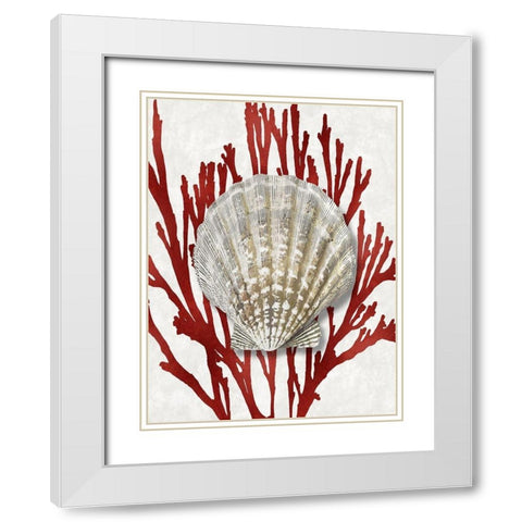 Shell Coral Red IV White Modern Wood Framed Art Print with Double Matting by Kelly, Caroline