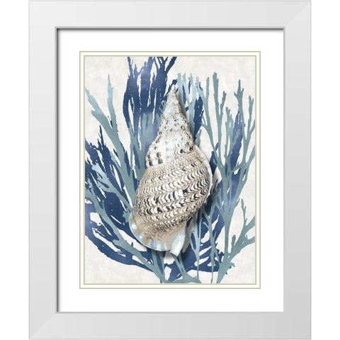 Shell Coral Aqua Blue I White Modern Wood Framed Art Print with Double Matting by Kelly, Caroline