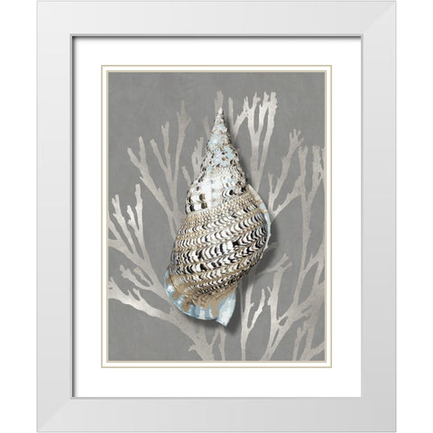 Shell Coral Silver on Gray I White Modern Wood Framed Art Print with Double Matting by Kelly, Caroline