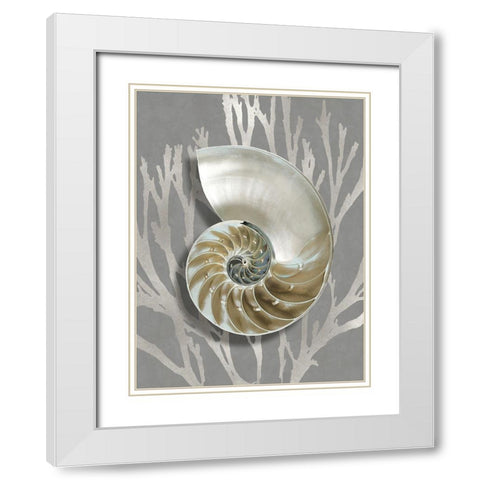 Shell Coral Silver on Gray II White Modern Wood Framed Art Print with Double Matting by Kelly, Caroline