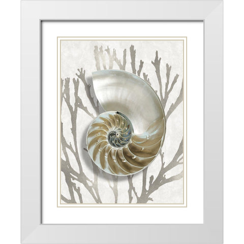 Shell Coral Silver II White Modern Wood Framed Art Print with Double Matting by Kelly, Caroline