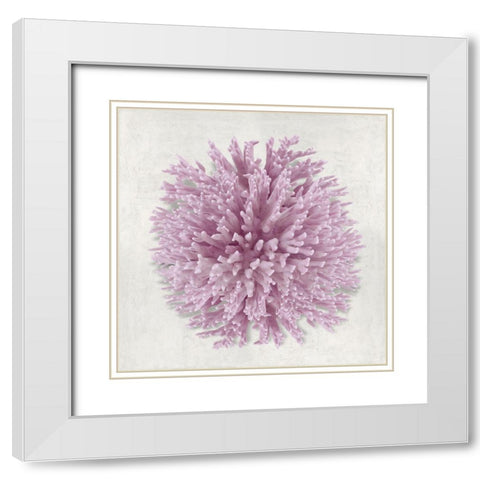 Coral Blush I White Modern Wood Framed Art Print with Double Matting by Kelly, Caroline