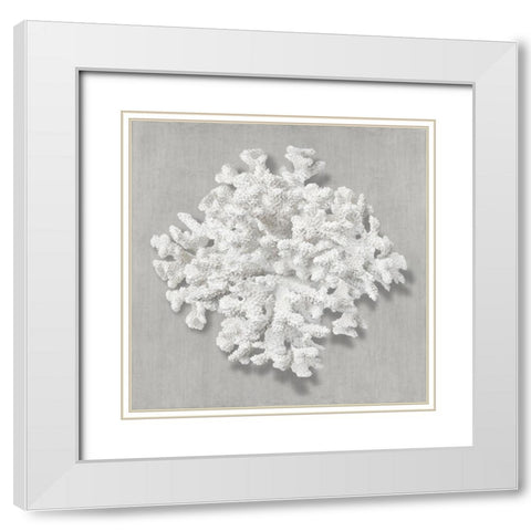 Coral on Gray II White Modern Wood Framed Art Print with Double Matting by Kelly, Caroline