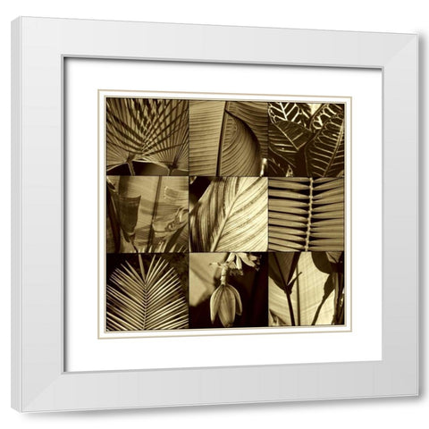 Tropical Leaves I White Modern Wood Framed Art Print with Double Matting by Kelly, Caroline