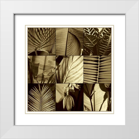 Tropical Leaves I White Modern Wood Framed Art Print with Double Matting by Kelly, Caroline