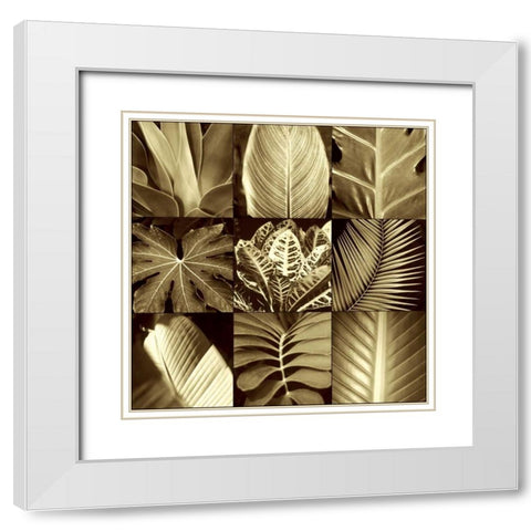 Tropical Leaves II White Modern Wood Framed Art Print with Double Matting by Kelly, Caroline