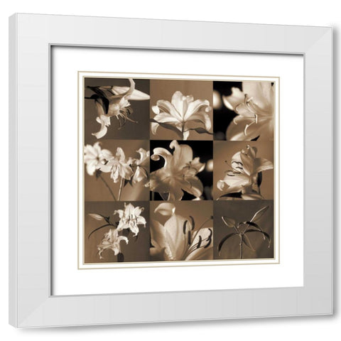 Lily Garden White Modern Wood Framed Art Print with Double Matting by Kelly, Caroline