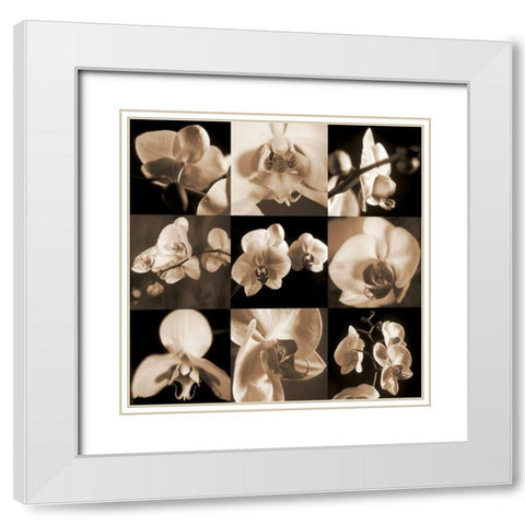 Orchid Bouquet White Modern Wood Framed Art Print with Double Matting by Kelly, Caroline