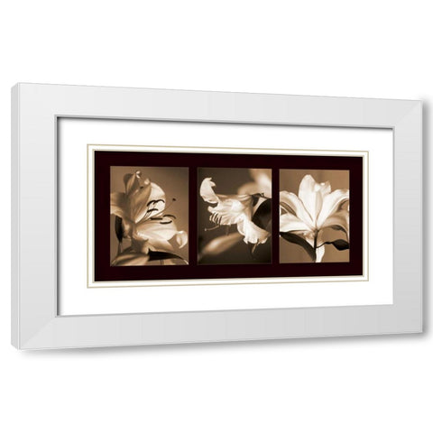 Lily Trio White Modern Wood Framed Art Print with Double Matting by Kelly, Caroline