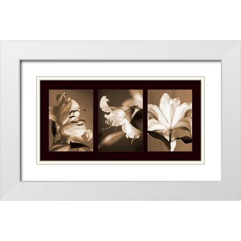 Lily Trio White Modern Wood Framed Art Print with Double Matting by Kelly, Caroline