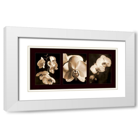 Orchid Trio White Modern Wood Framed Art Print with Double Matting by Kelly, Caroline