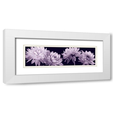 All in a Row White Modern Wood Framed Art Print with Double Matting by Kelly, Caroline