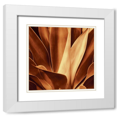 Santa Fe I White Modern Wood Framed Art Print with Double Matting by Kelly, Caroline