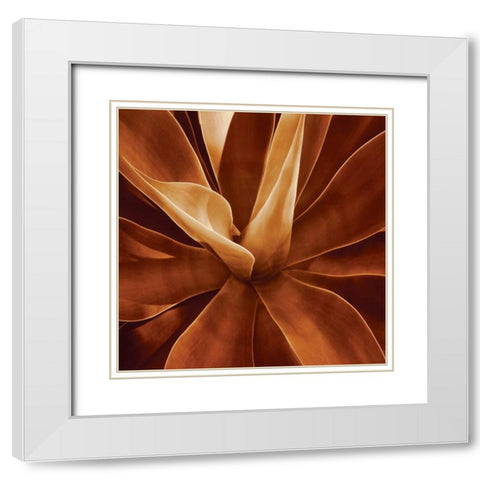 Santa Fe II White Modern Wood Framed Art Print with Double Matting by Kelly, Caroline