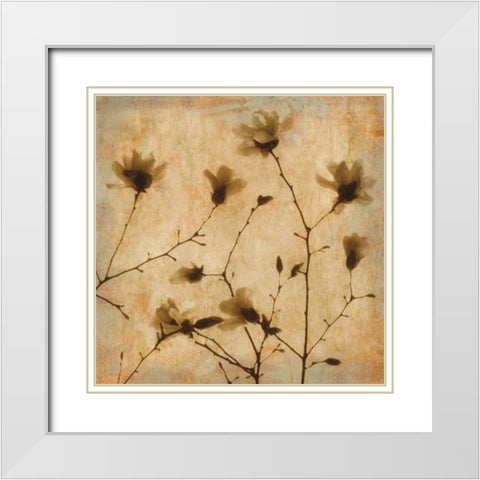 Magnolias II White Modern Wood Framed Art Print with Double Matting by Kelly, Caroline