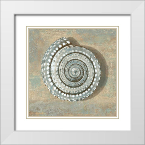 Aqua Seashell White Modern Wood Framed Art Print with Double Matting by Kelly, Caroline