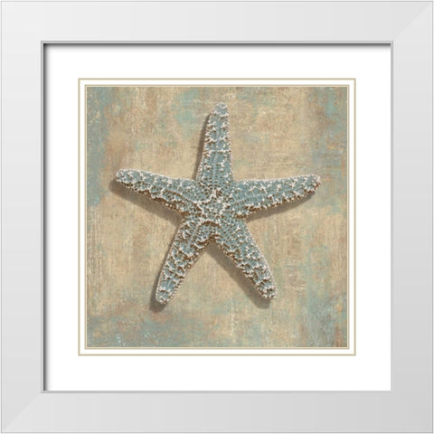 Aqua Starfish White Modern Wood Framed Art Print with Double Matting by Kelly, Caroline