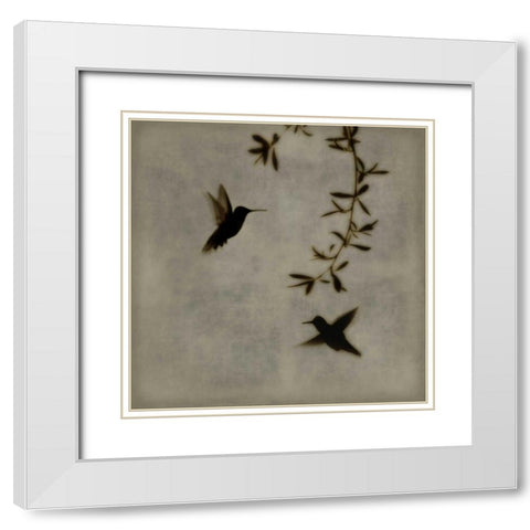Dance in Flight I White Modern Wood Framed Art Print with Double Matting by Donovan, Chris
