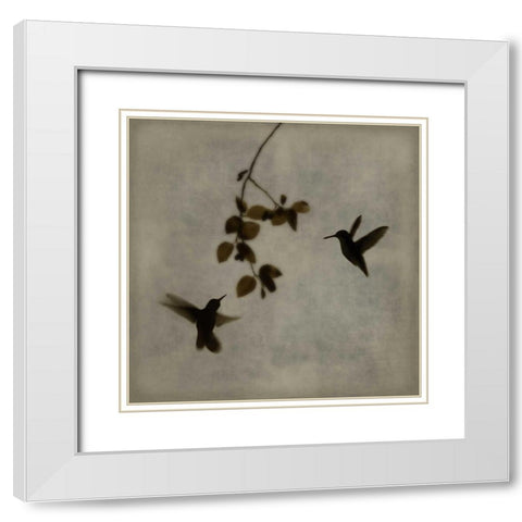 Dance in Flight II White Modern Wood Framed Art Print with Double Matting by Donovan, Chris