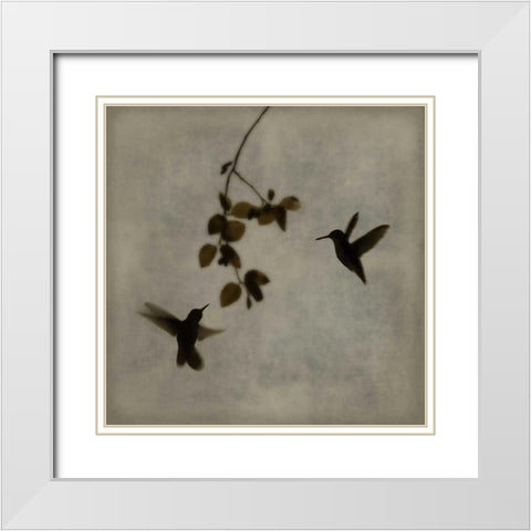 Dance in Flight II White Modern Wood Framed Art Print with Double Matting by Donovan, Chris