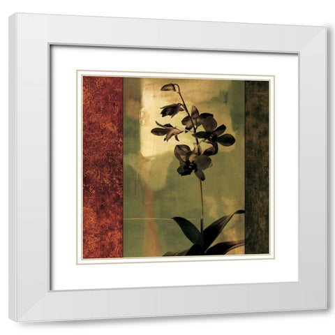 Mesmerized II White Modern Wood Framed Art Print with Double Matting by Donovan, Chris