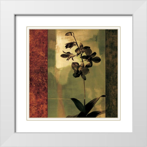 Mesmerized II White Modern Wood Framed Art Print with Double Matting by Donovan, Chris