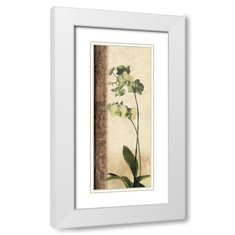 Dreamweaver I White Modern Wood Framed Art Print with Double Matting by Donovan, Chris