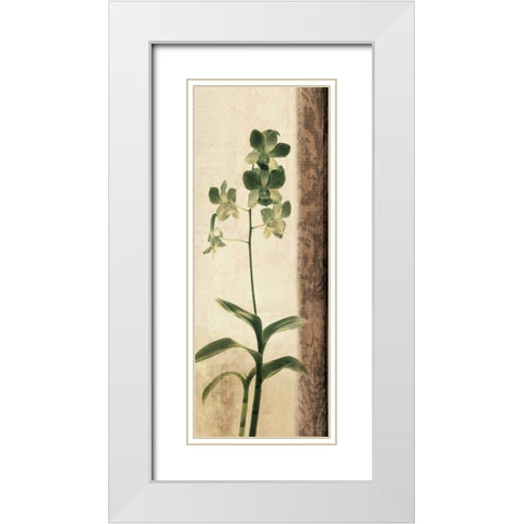 Dreamweaver II White Modern Wood Framed Art Print with Double Matting by Donovan, Chris