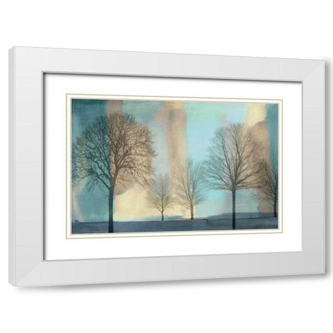Misty Morning I White Modern Wood Framed Art Print with Double Matting by Donovan, Chris