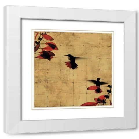 Colibri I White Modern Wood Framed Art Print with Double Matting by Donovan, Chris