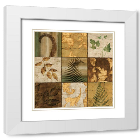 Natures Touch II White Modern Wood Framed Art Print with Double Matting by Donovan, Chris