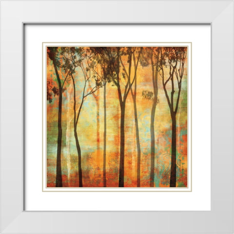 Magical Forest I White Modern Wood Framed Art Print with Double Matting by Donovan, Chris