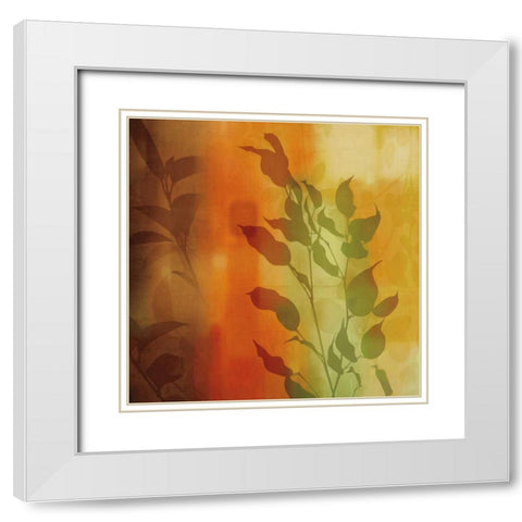 Natures Glow I White Modern Wood Framed Art Print with Double Matting by Donovan, Chris