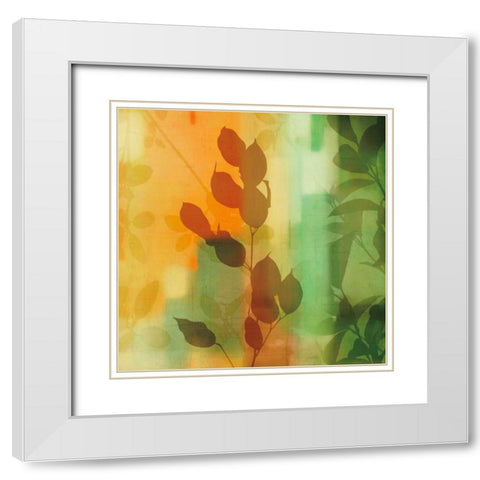 Natures Glow II White Modern Wood Framed Art Print with Double Matting by Donovan, Chris