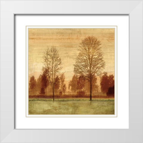 Golden Sunrise I White Modern Wood Framed Art Print with Double Matting by Donovan, Chris
