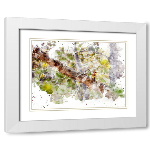 Lost Bird White Modern Wood Framed Art Print with Double Matting by Young, Chamira