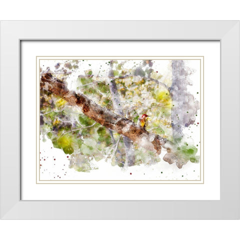 Lost Bird White Modern Wood Framed Art Print with Double Matting by Young, Chamira