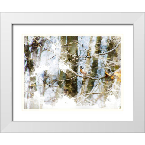 Lost Bird II  White Modern Wood Framed Art Print with Double Matting by Young, Chamira
