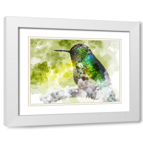 Humming Bird White Modern Wood Framed Art Print with Double Matting by Young, Chamira