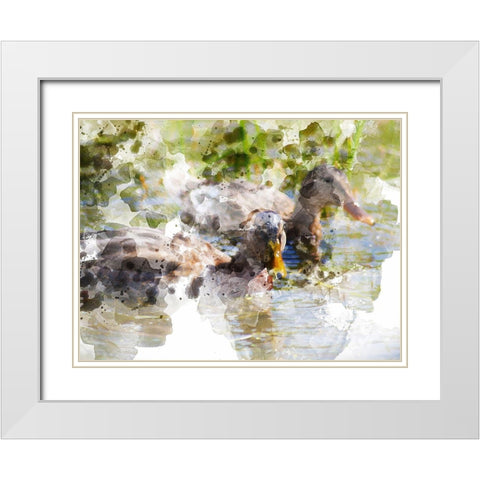 Ducks in Float I White Modern Wood Framed Art Print with Double Matting by Young, Chamira