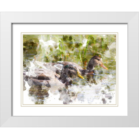 Ducks in Float II White Modern Wood Framed Art Print with Double Matting by Young, Chamira