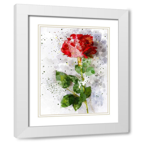 Rose in Bloom White Modern Wood Framed Art Print with Double Matting by Young, Chamira