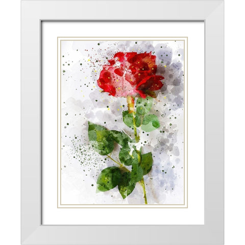 Rose in Bloom White Modern Wood Framed Art Print with Double Matting by Young, Chamira