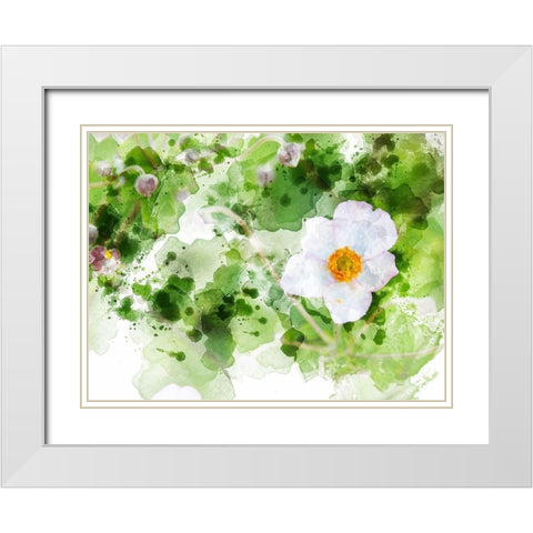 Floral in Bloom XXII White Modern Wood Framed Art Print with Double Matting by Young, Chamira