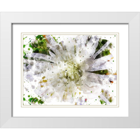 Floral in Bloom XXIII White Modern Wood Framed Art Print with Double Matting by Young, Chamira
