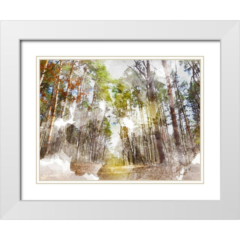 Forest Road I White Modern Wood Framed Art Print with Double Matting by Young, Chamira