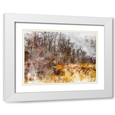 Autumn Forest I White Modern Wood Framed Art Print with Double Matting by Young, Chamira