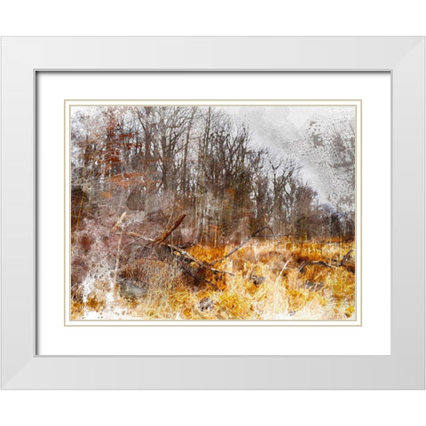 Autumn Forest I White Modern Wood Framed Art Print with Double Matting by Young, Chamira