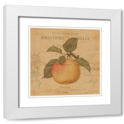 Pomme White Modern Wood Framed Art Print with Double Matting by Devellier, Deborah