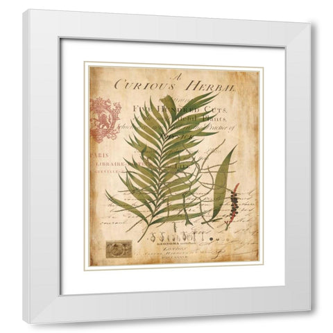 Palm Study I White Modern Wood Framed Art Print with Double Matting by Devellier, Deborah
